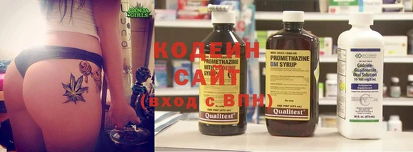 эйфоретик Бородино