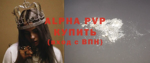 эйфоретик Бородино