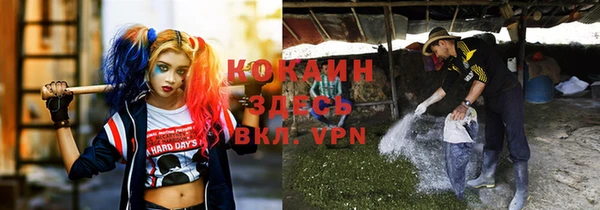эйфоретик Бородино