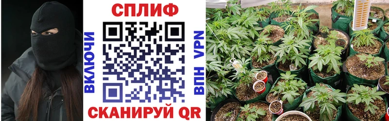 наркота  Мосальск  Каннабис ГИДРОПОН 